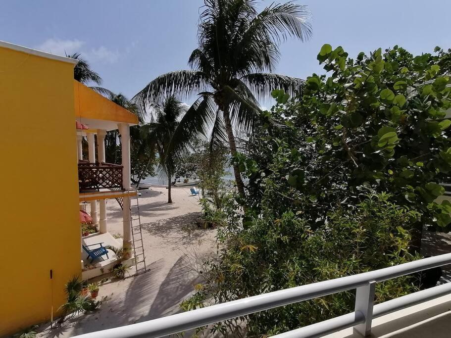 Marysol Great Views Beachfront Next To Nomads D3 Isla Mujeres Esterno foto