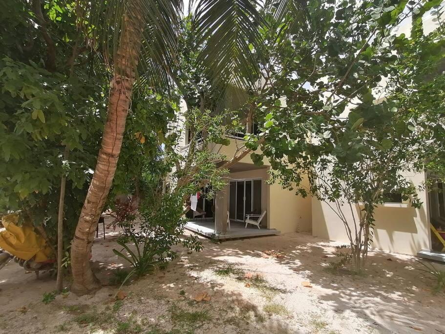 Marysol Great Views Beachfront Next To Nomads D3 Isla Mujeres Esterno foto