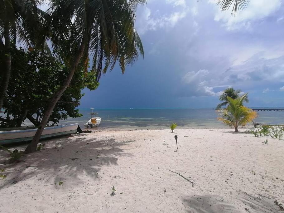 Marysol Great Views Beachfront Next To Nomads D3 Isla Mujeres Esterno foto