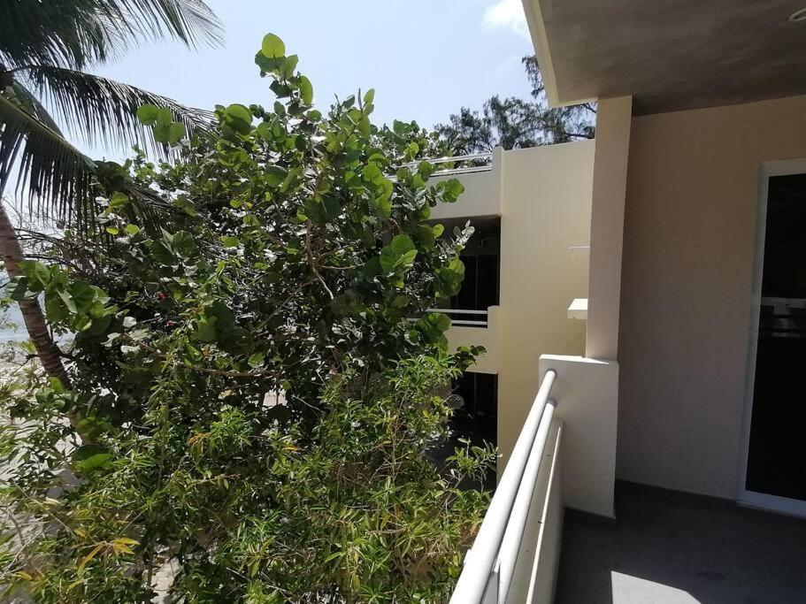 Marysol Great Views Beachfront Next To Nomads D3 Isla Mujeres Esterno foto