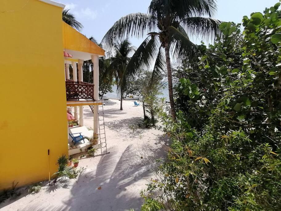 Marysol Great Views Beachfront Next To Nomads D3 Isla Mujeres Esterno foto