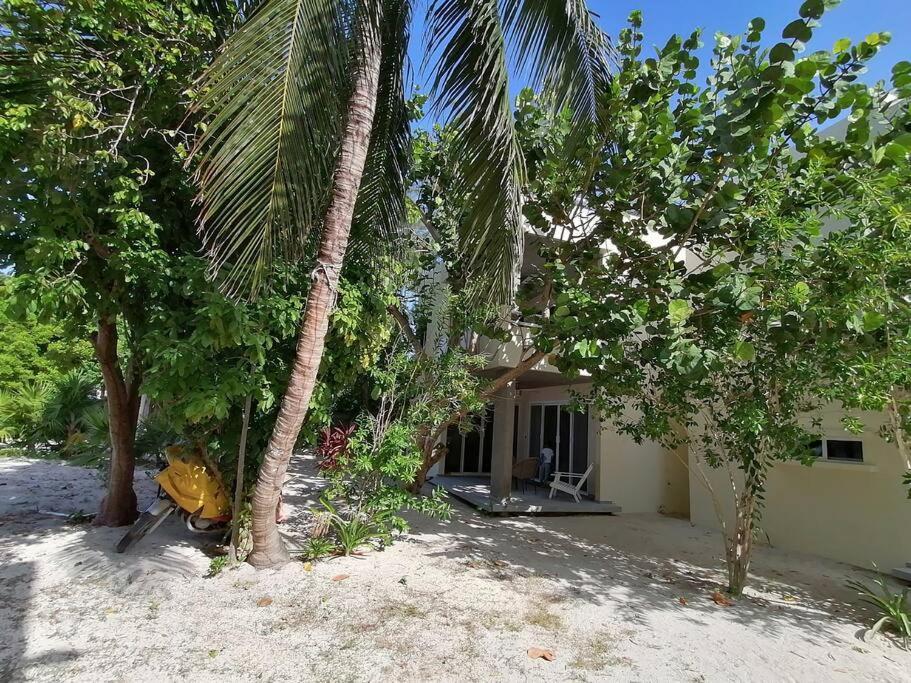 Marysol Great Views Beachfront Next To Nomads D3 Isla Mujeres Esterno foto