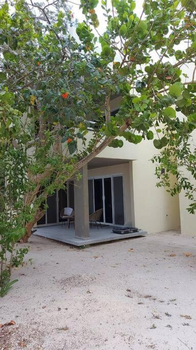 Marysol Great Views Beachfront Next To Nomads D3 Isla Mujeres Esterno foto